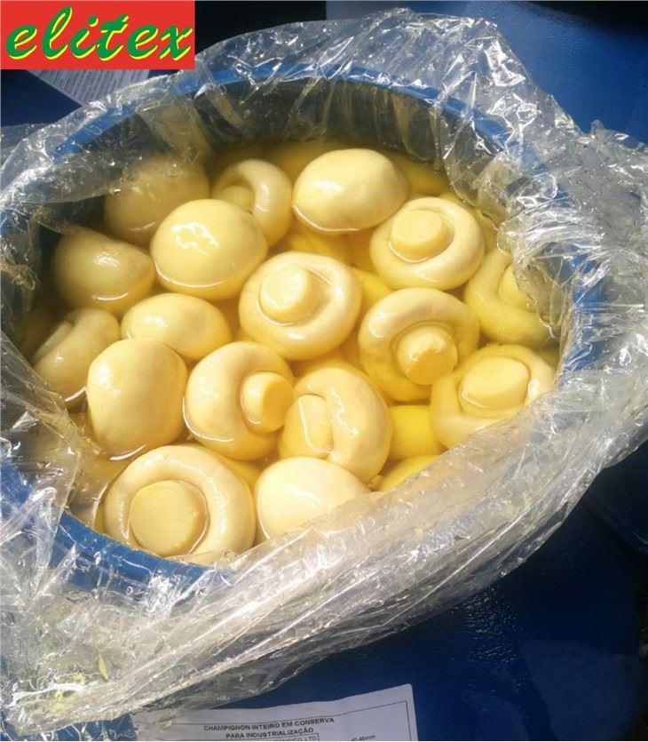 4-5cm Fresh Whole Mushroom In SO2