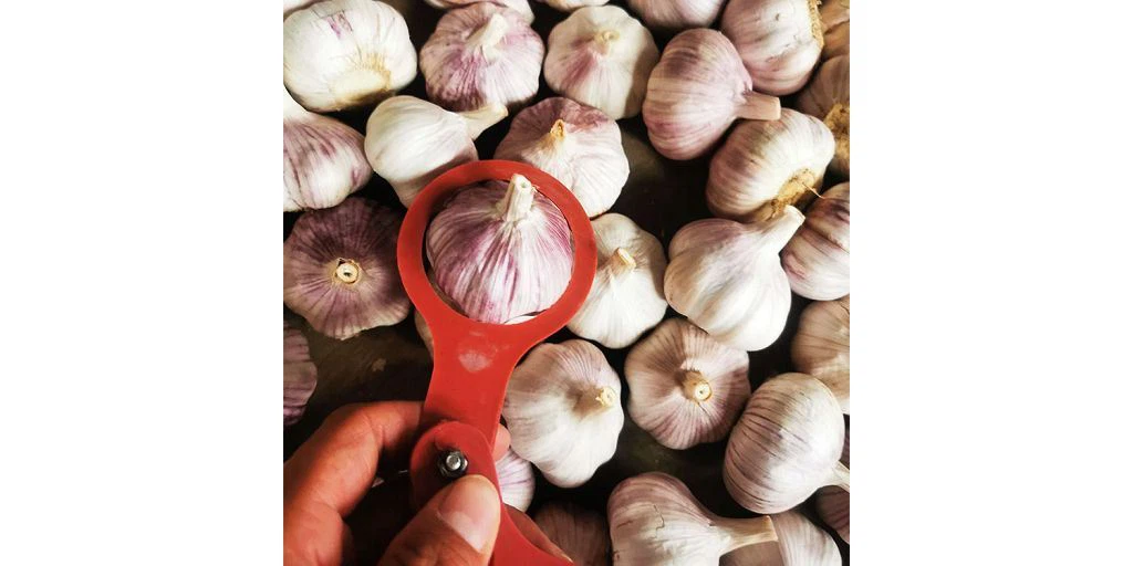 Câte ciuperci sunt vândute